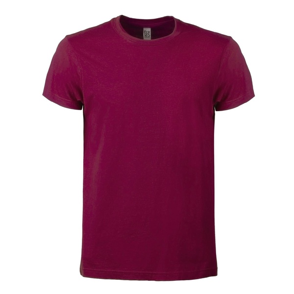 Evolution T-shirt - Unisex bordeaux