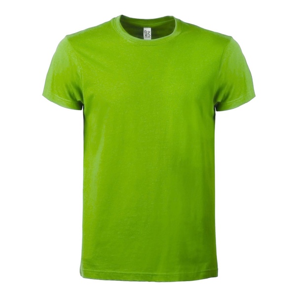Evolution T-shirt - Unisex lime green